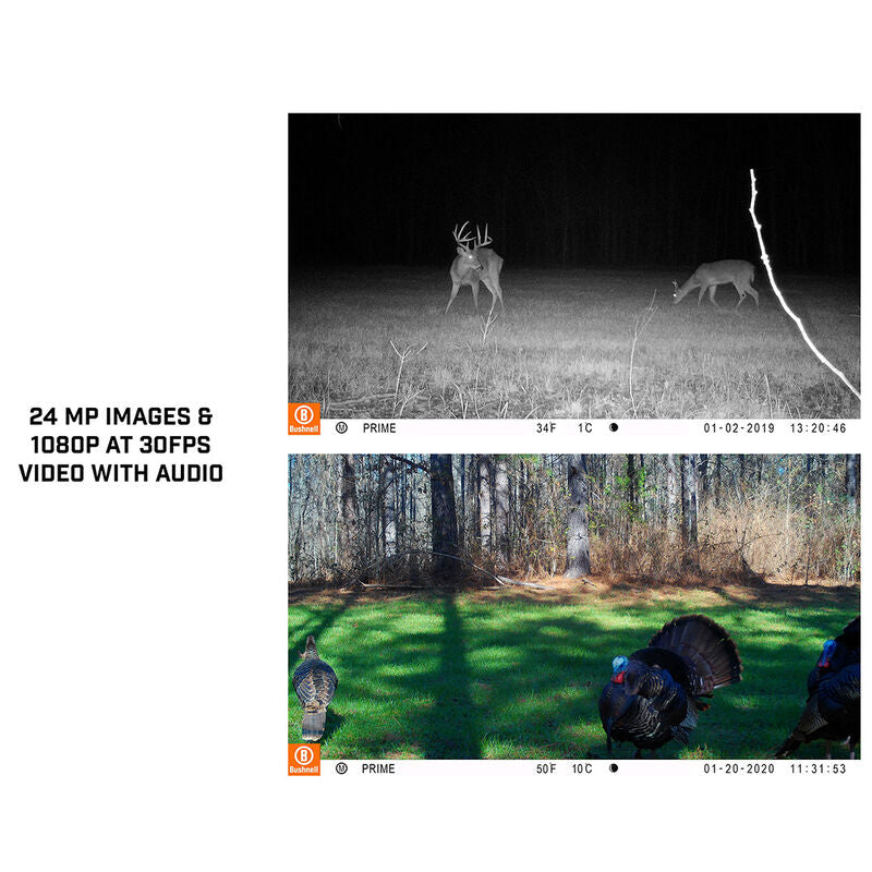 Load image into Gallery viewer, Bushnell 24MP PRIME LOW GLOW TRAIL CAMERA