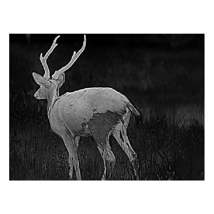 Load image into Gallery viewer, Pixfra Mile 2 M419 Thermal Imaging Monocular