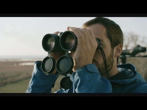 Load and play video in Gallery viewer, Swarovski EL 8.5x42 SV Binocular