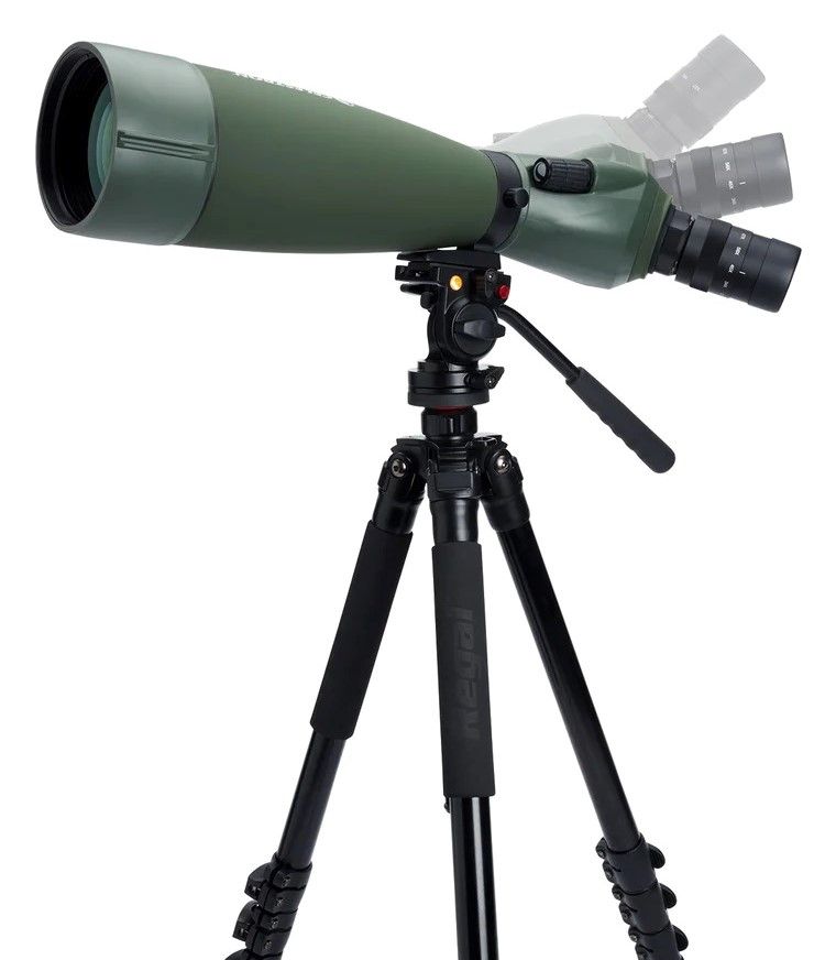Load image into Gallery viewer, Celestron Regal M2 100ED Spotting Scope
