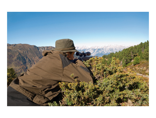 Load image into Gallery viewer, Swarovski Z3 4-12x50 BT PLEX