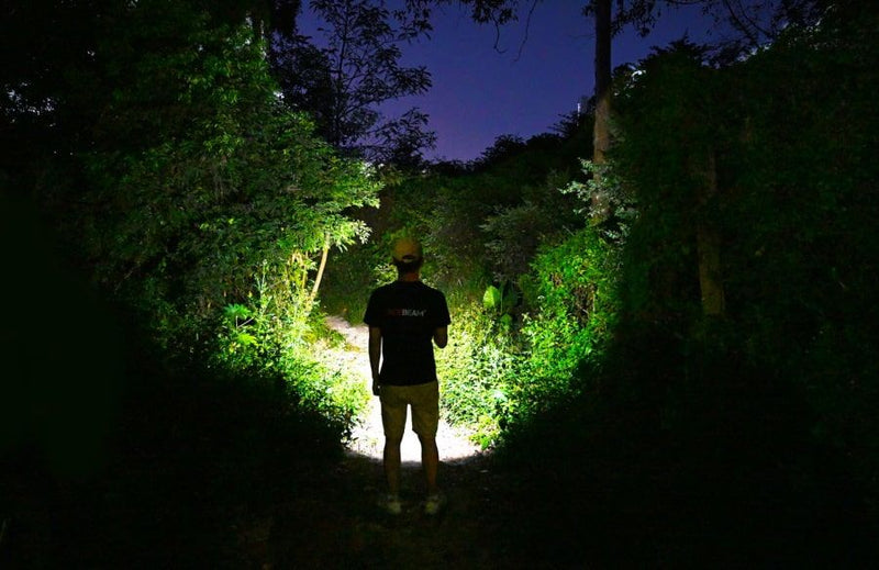 Load image into Gallery viewer, AceBeam Pokelit 2AA Everyday Carry Flashlight - 600 Lumens, Forest Green