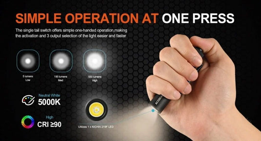 Acebeam Pokelit AA Everyday Flashlight - 550 Lumen, Black