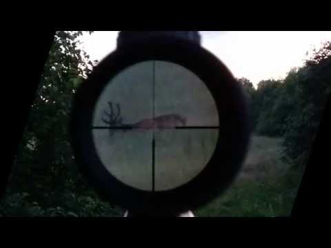 Load and play video in Gallery viewer, Delta Titanium HD 2.5-15-56 SF 4A S