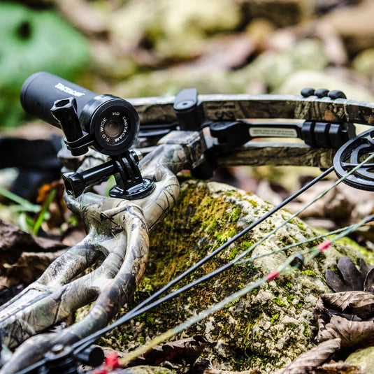 Bow for Hunting: A Southern African Buyer's Guide