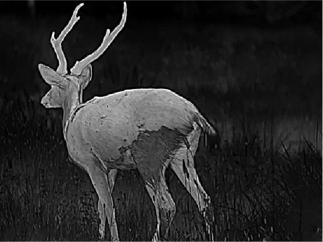 Load image into Gallery viewer, Pixfra Mile 2 PFI-M207 Thermal Imaging Monocular
