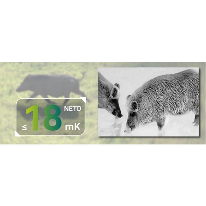 Load image into Gallery viewer, Pixfra Pegasus Pro P635 Thermal Imaging Riflescope
