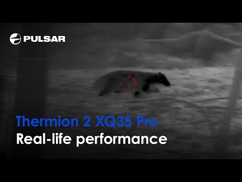 Load and play video in Gallery viewer, Pulsar Thermion 2 XQ35 PRO
