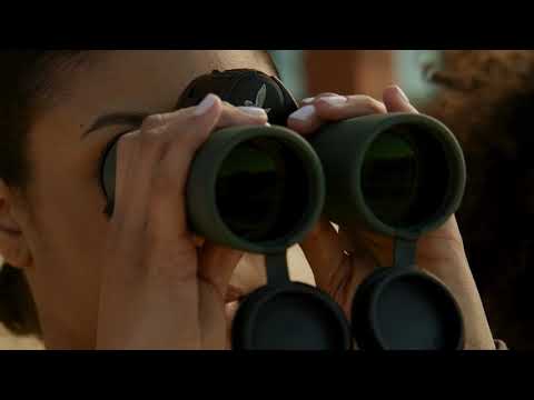 Load and play video in Gallery viewer, Swarovski NL Pure 10x32 Binoculars - Burnt Orange

