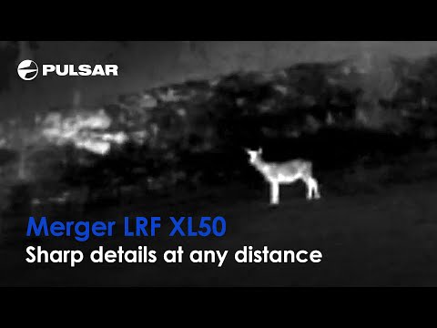 Load and play video in Gallery viewer, Pulsar Merger LRF XL50 Thermal Imaging Binoculars
