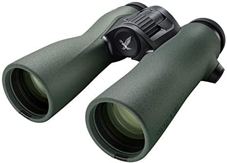 Swarovski 8x42 NL Pure Binoculars - Green
